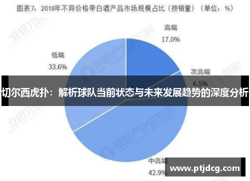切尔西虎扑：解析球队当前状态与未来发展趋势的深度分析