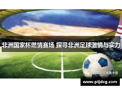 非洲国家杯燃情赛场 探寻非洲足球激情与实力