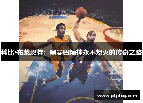 科比·布莱恩特：黑曼巴精神永不熄灭的传奇之路